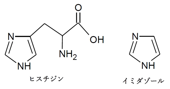 アミノ酸（C）の生合成過程の一部を示した図　第99回薬剤師国家試験問107